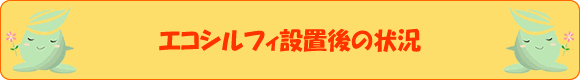 エコシルフィ設置後の状況